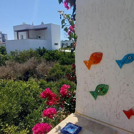 Rahat Ev Bodrum Eksteriør billede