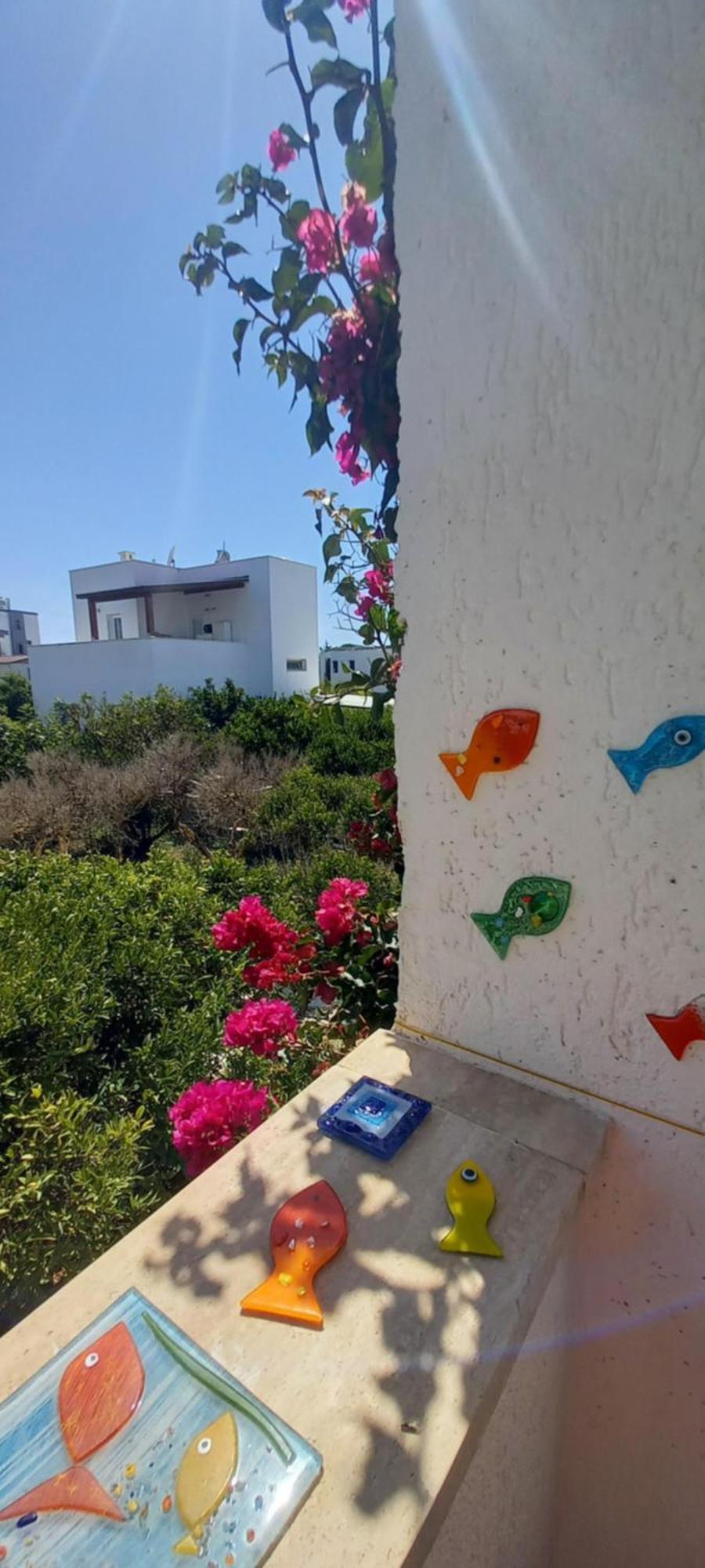Rahat Ev Bodrum Eksteriør billede